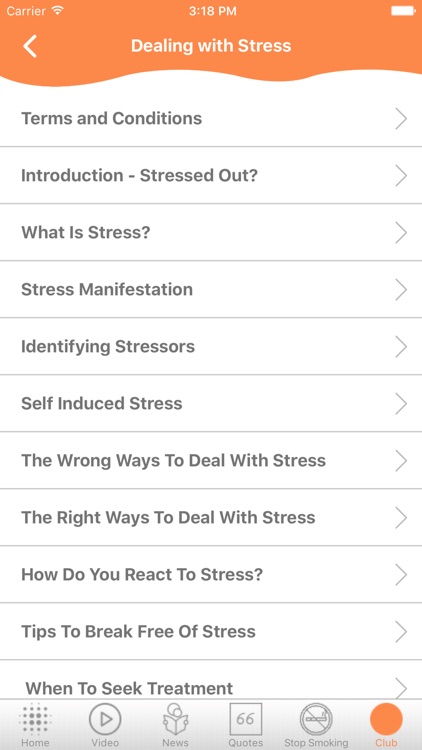 Introducing Neuro Semantics