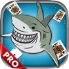 Card Shark Solitaire Classic Collection Deluxe Pro