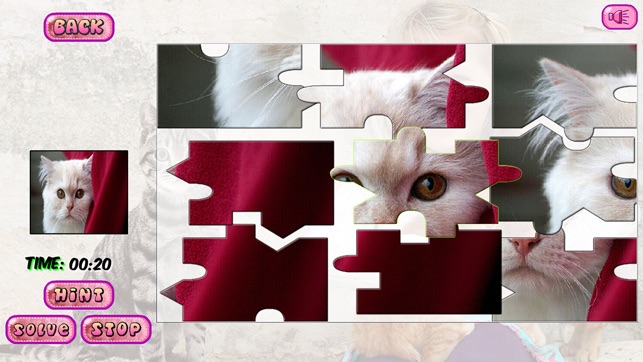 Puzzles of Kittens(圖5)-速報App