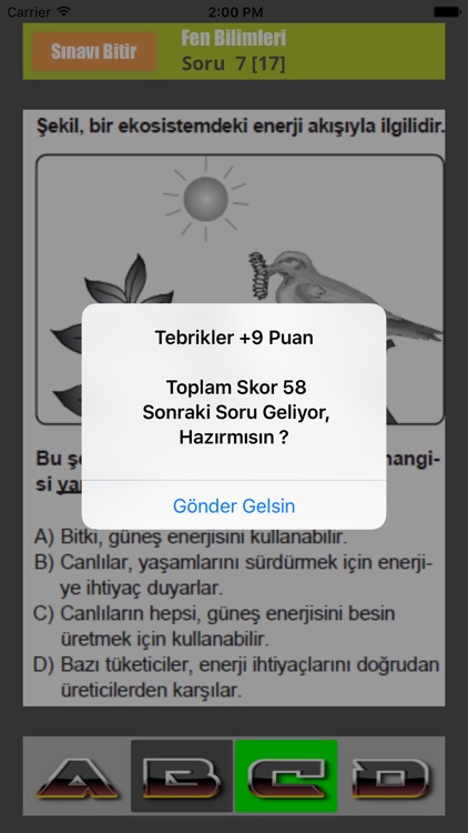 TEOG Soruları Premium