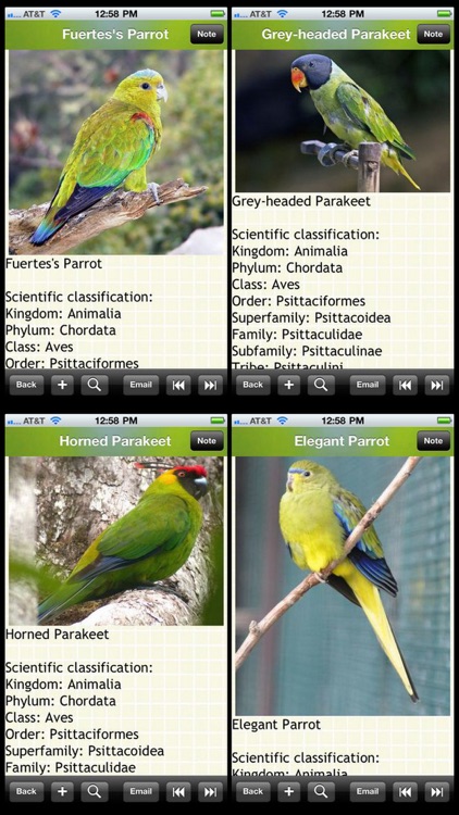 The Parrots Bible