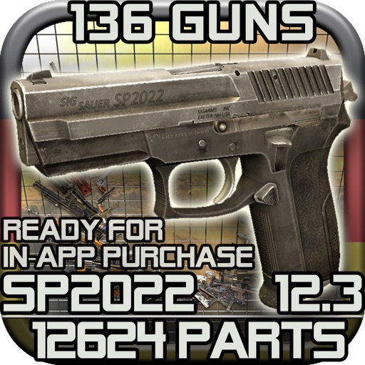 Gun Disassembly 2