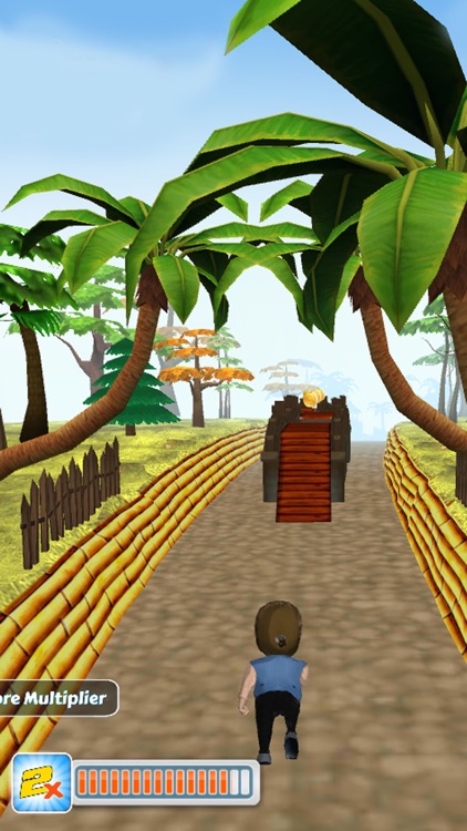 Ninja Run 3D Free