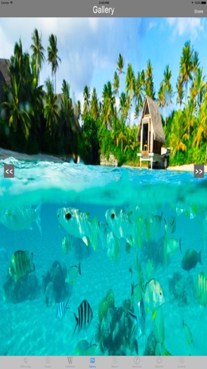 Bora Bora French Polynesia Tourist Trave