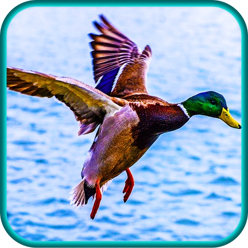 Duck Hunting Game - Bird Shot Shooting Sniper Hunt Season Pro icon