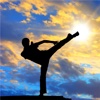Martial Arts 101- Techniques and Study Tutorial