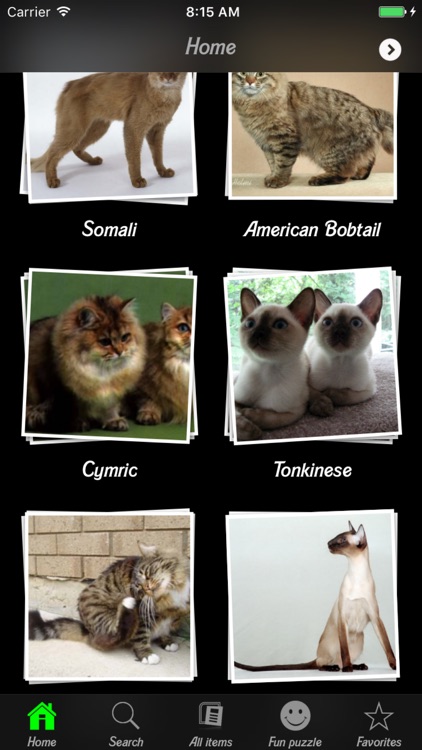 Cats & Dogs Breeds