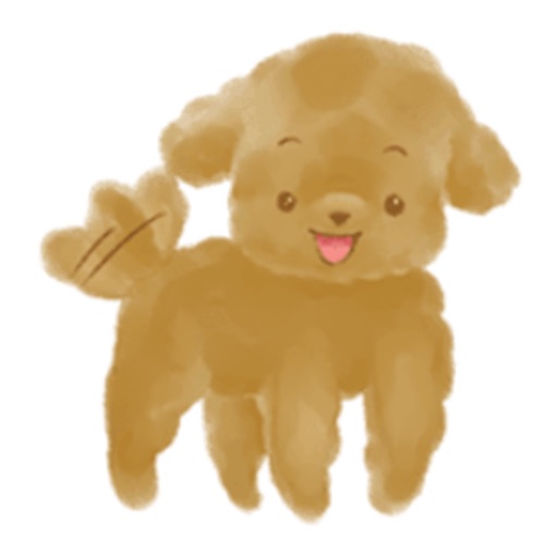 Cute Poodle! icon