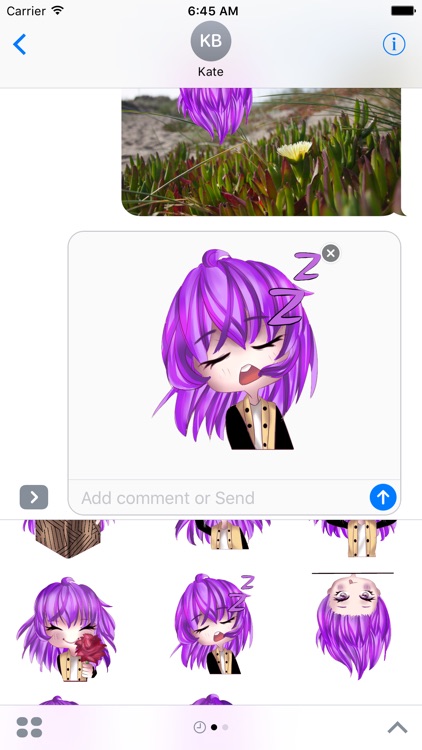 Leena Stickers screenshot-4