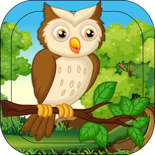 Bird Animal Game - Free Toddlers Boys Girls Puzzle icon