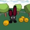 Black Rabbit!