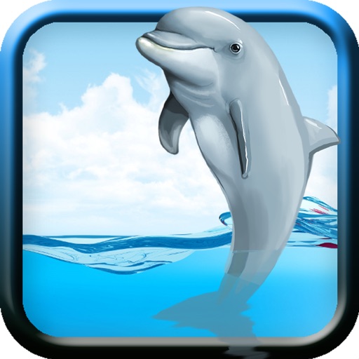 Racing Dolphin Show Icon