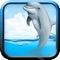 Racing Dolphin Show