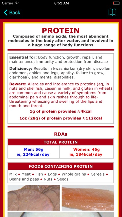 Protein Counter and Tracker for Healthy Food Diets screenshot-3