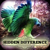 Hidden Difference - Aviary