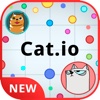 Cat.io FULL