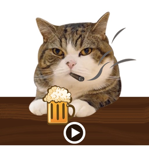 Molly The Cat Animated icon