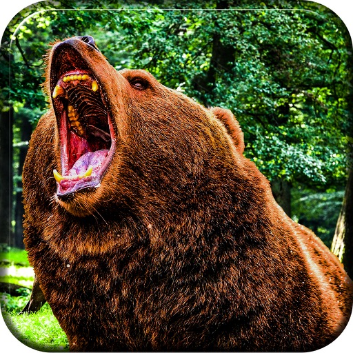 2016 Wild Bear Attack Simulator 3D Pro icon
