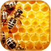 عسل درمانی - Honey Therapy