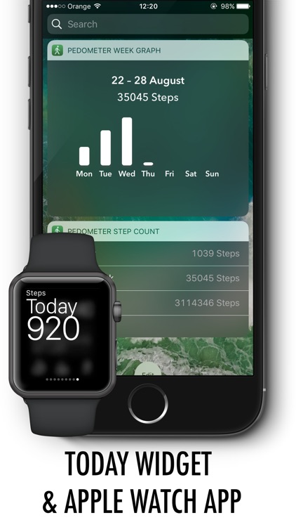 Pedometer for iPhone