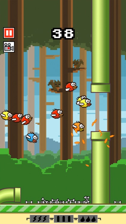 Flappy Crush : Bird Smash screenshot-0