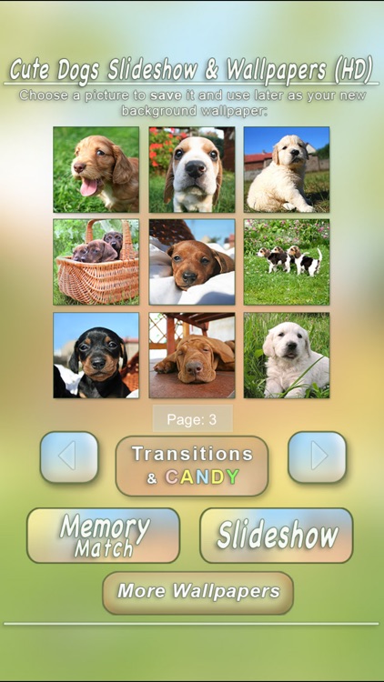 Cute Dogs Slideshow & Wallpapers (HD) screenshot-4