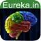 Brain - Anatomy & function