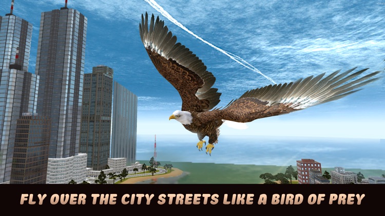 City Eagle Simulator 3D