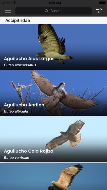 Birds of Argentina and Uruguay