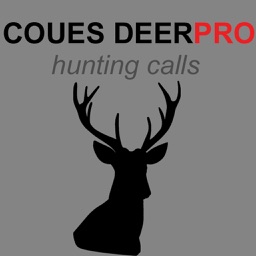 Coues Deer Calls & Coues Deer Sounds for Hunting