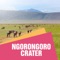 The Ngorongoro Crater is located on the border of the Serengeti National Park, only a few hours away from Arusha, a town located at the bottom of Mount Meru