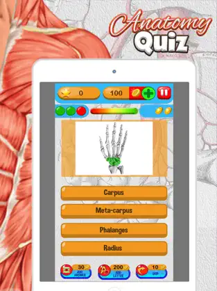Screenshot 3 Anatomía Quiz Gratis Ciencia Educación Juego iphone