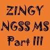 Zingy NGSS Middle School Part III