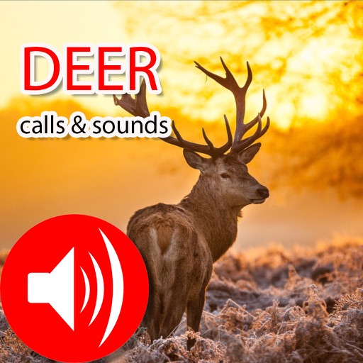 Deer Sounds & Calls for Field Deer Hunting icon