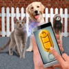 Training Pet Clicker
