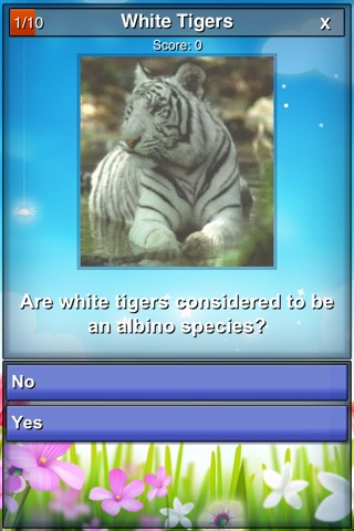 Big Brain Quiz ANIMALS screenshot 2