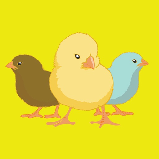 Catch me if you can The crazy chickens iOS App