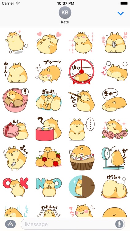 Petit Hamster
