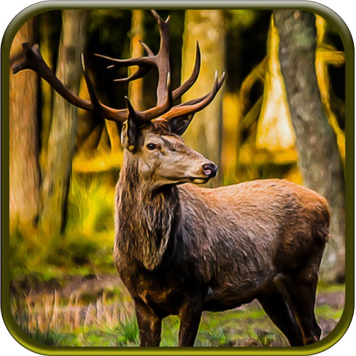 White Tail Deer Hunter: African Safari hunting Pro Icon