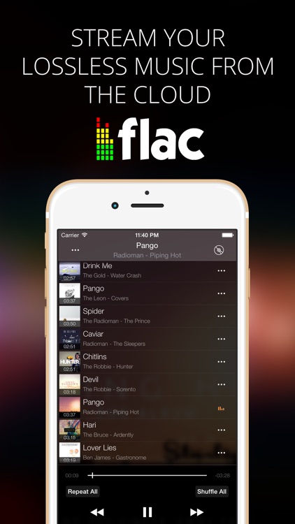 Flacbox - FLAC, MP3 player