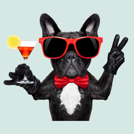 Frenchie Stickers
