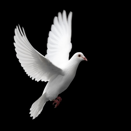 Dove Calls - High Quality Sounds of Pigeon Birds iOS App