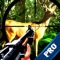 Angry Deer Is Hunted In The Hunting Season PRO
