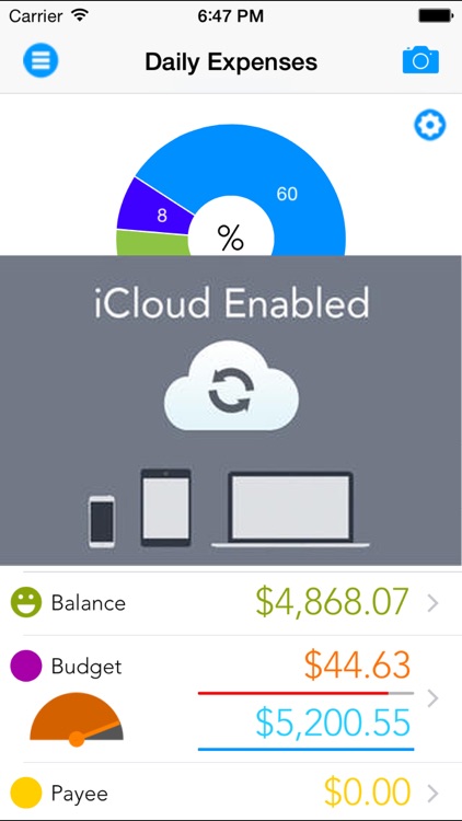 Daily Expenses - Pocket Edition screenshot-4