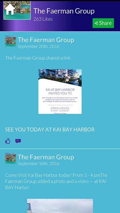 The Faerman Group by Profit Enhancement Group, Inc.