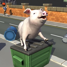Activities of Bed Piggy pet simulator games