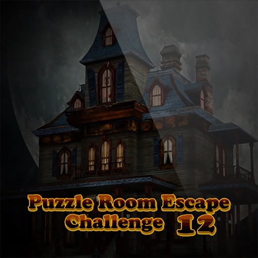 Puzzle Room Escape Challenge 12 iOS App
