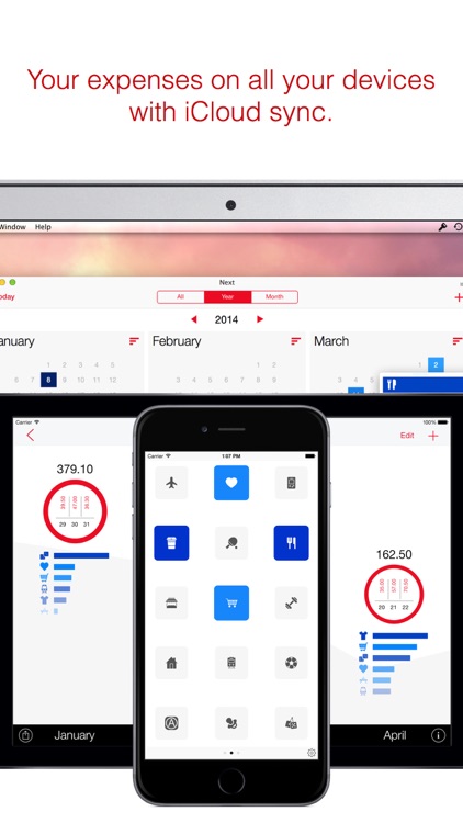 Next for iPhone - Track your expenses & finances screenshot-4