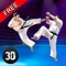 Karate Do Fighting Tiger 3D - 2