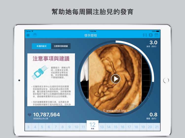 懷孕歷程 screenshot-3